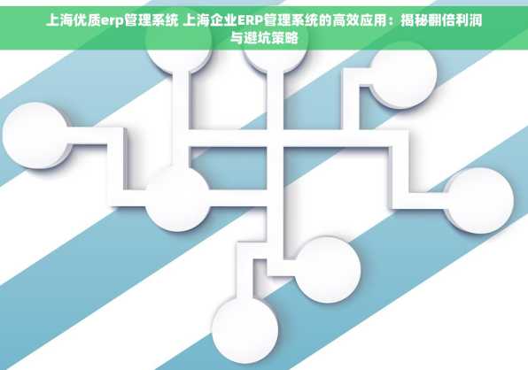 上海优质erp管理系统 上海企业ERP管理系统的高效应用：揭秘翻倍利润与避坑策略