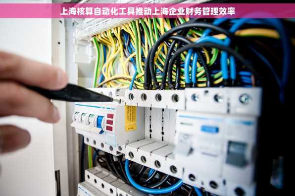 上海核算自动化工具推动上海企业财务管理效率