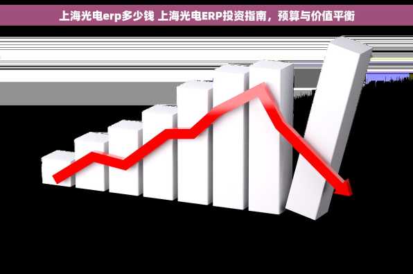 上海光电erp多少钱 上海光电ERP投资指南，预算与价值平衡