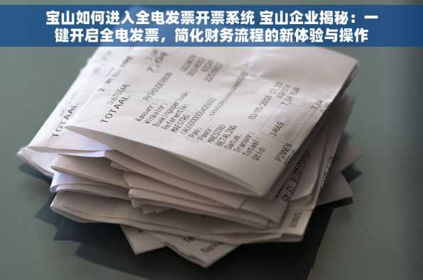 宝山如何进入全电发票开票系统 宝山企业揭秘：一键开启全电发票，简化财务流程的新体验与操作秘籍