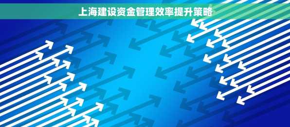 上海建设资金管理效率提升策略