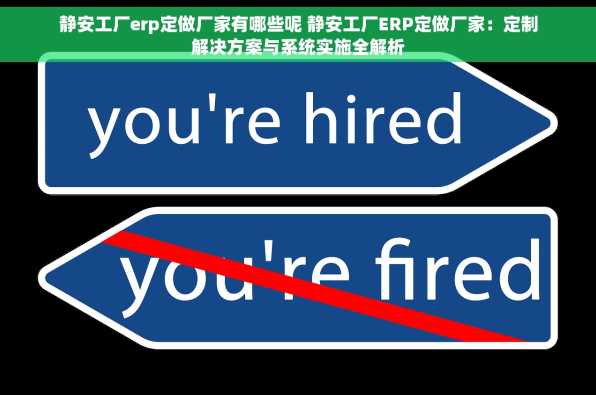静安工厂erp定做厂家有哪些呢 静安工厂ERP定做厂家：定制解决方案与系统实施全解析