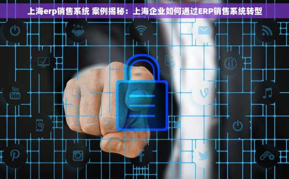 上海erp销售系统 案例揭秘：上海企业如何通过ERP销售系统转型