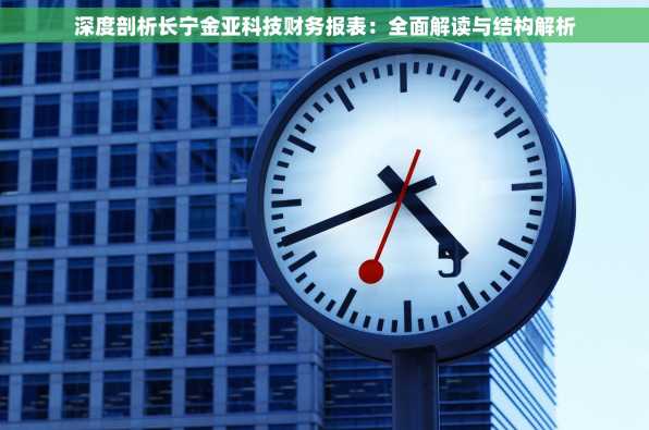 深度剖析长宁金亚科技财务报表：全面解读与结构解析