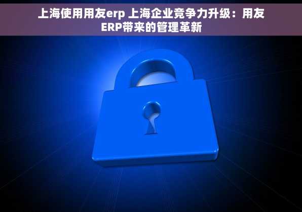 上海使用用友erp 上海企业竞争力升级：用友ERP带来的管理革新