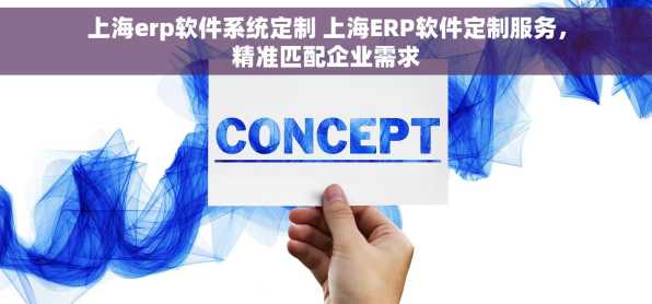 上海erp软件系统定制 上海ERP软件定制服务，精准匹配企业需求