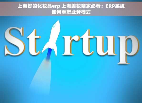 上海好的化妆品erp 上海美妆商家必看：ERP系统如何重塑业务模式