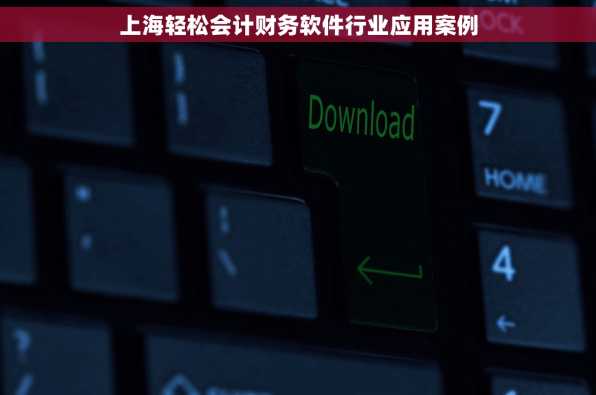 上海轻松会计财务软件行业应用案例