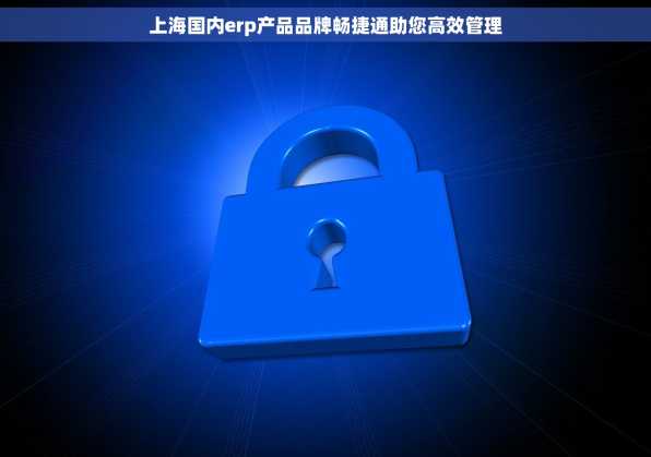上海国内erp产品品牌畅捷通助您高效管理