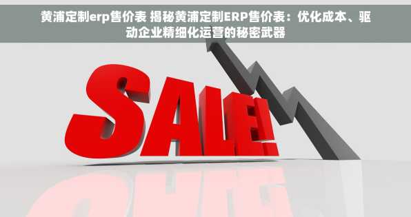 黄浦定制erp售价表 揭秘黄浦定制ERP售价表：优化成本、驱动企业精细化运营的秘密武器