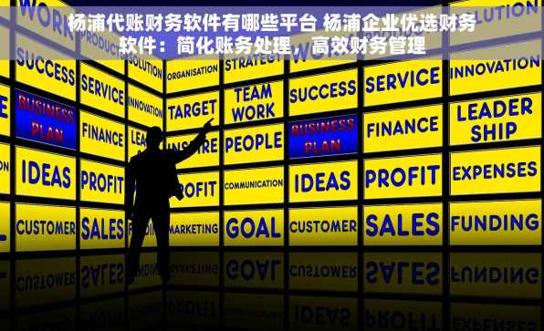 杨浦代账财务软件有哪些平台 杨浦企业优选财务软件：简化账务处理，高效财务管理