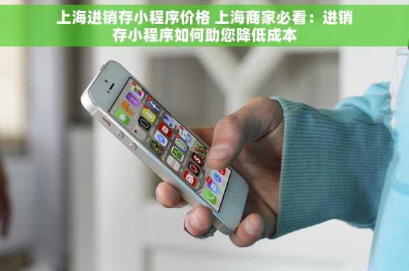 上海进销存小程序价格 上海商家必看：进销存小程序如何助您降低成本