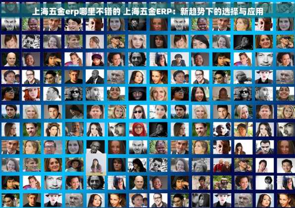 上海五金erp哪里不错的 上海五金ERP：新趋势下的选择与应用