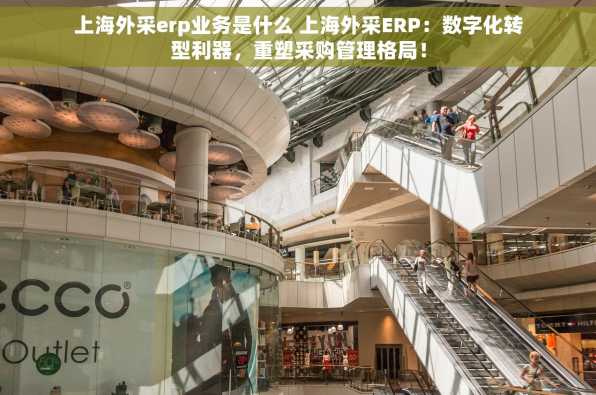 上海外采erp业务是什么 上海外采ERP：数字化转型利器，重塑采购管理格局！