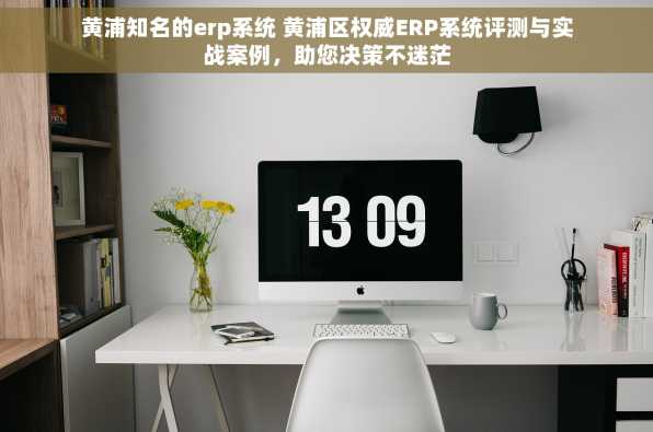 黄浦知名的erp系统 黄浦区权威ERP系统评测与实战案例，助您决策不迷茫