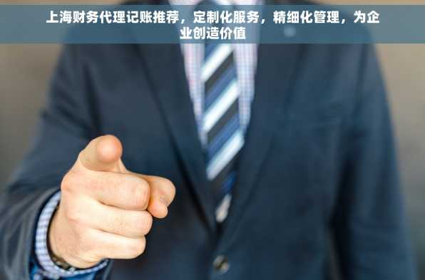 上海财务代理记账推荐，定制化服务，精细化管理，为企业创造价值