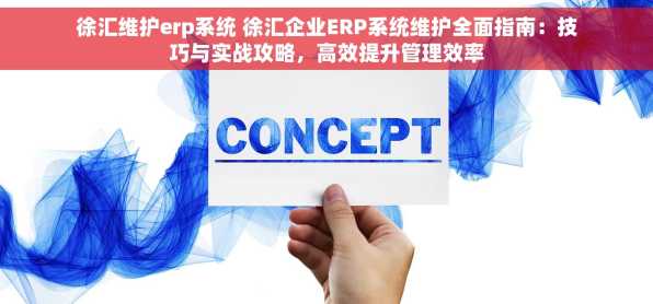 徐汇维护erp系统 徐汇企业ERP系统维护全面指南：技巧与实战攻略，高效提升管理效率