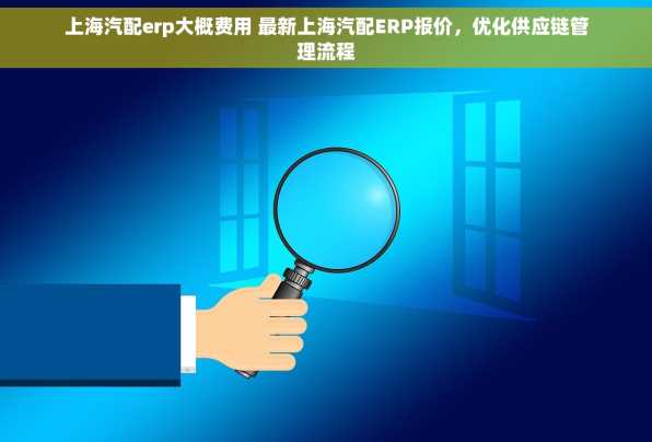 上海汽配erp大概费用 最新上海汽配ERP报价，优化供应链管理流程