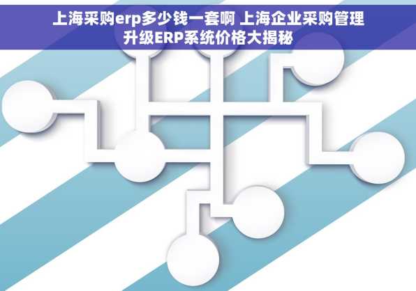 上海采购erp多少钱一套啊 上海企业采购管理升级ERP系统价格大揭秘