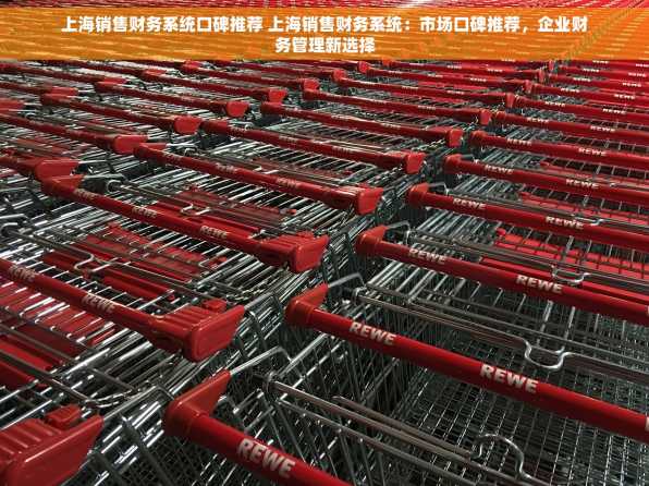 上海销售财务系统口碑推荐 上海销售财务系统：市场口碑推荐，企业财务管理新选择