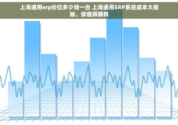 上海通用erp价位多少钱一台 上海通用ERP系统成本大揭秘，你值得拥有