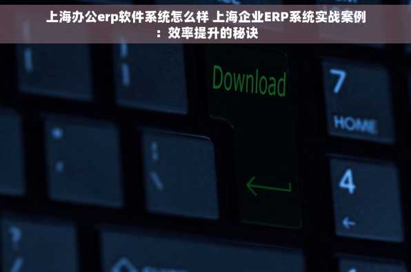 上海办公erp软件系统怎么样 上海企业ERP系统实战案例：效率提升的秘诀