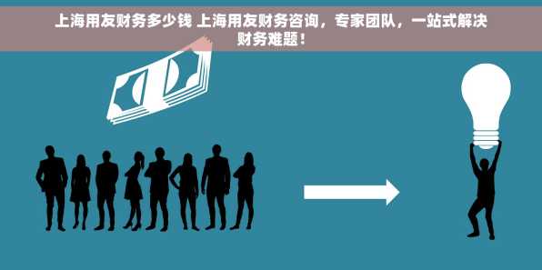 上海用友财务多少钱 上海用友财务咨询，专家团队，一站式解决财务难题！