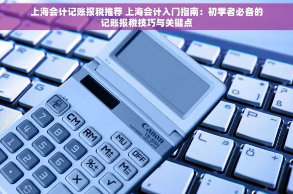 上海会计记账报税推荐 上海会计入门指南：初学者必备的记账报税技巧与关键点