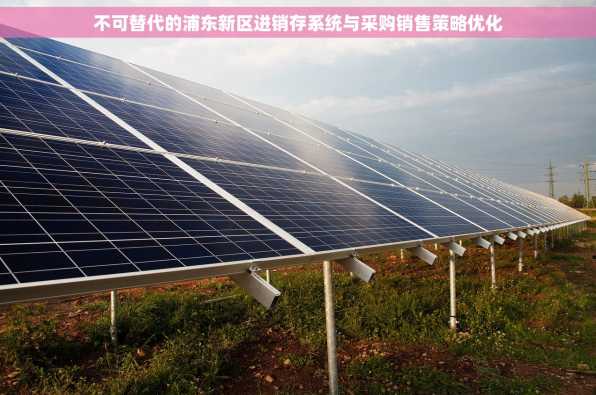 不可替代的浦东新区进销存系统与采购销售策略优化
