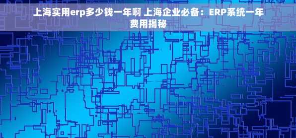 上海实用erp多少钱一年啊 上海企业必备：ERP系统一年费用揭秘