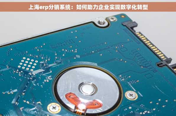 上海erp分销系统：如何助力企业实现数字化转型