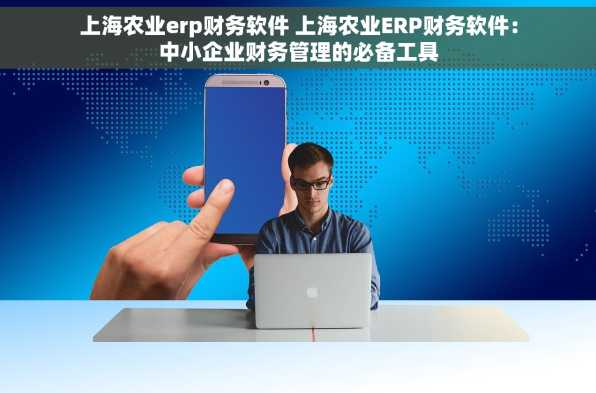 上海农业erp财务软件 上海农业ERP财务软件：中小企业财务管理的必备工具