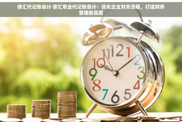 徐汇代记账会计 徐汇专业代记账会计：优化企业财务流程，打造财务管理新高度