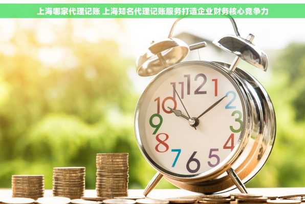 上海哪家代理记账 上海知名代理记账服务打造企业财务核心竞争力
