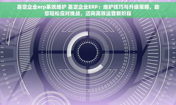 嘉定企业erp系统维护 嘉定企业ERP：维护技巧与升级策略，助您轻松应对挑战，迈向高效运营新阶段