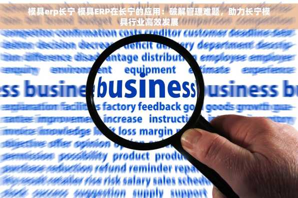 模具erp长宁 模具ERP在长宁的应用：破解管理难题，助力长宁模具行业高效发展