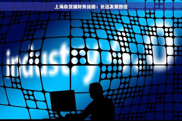 上海杂货铺财务战略：长远发展路径