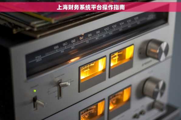 上海财务系统平台操作指南