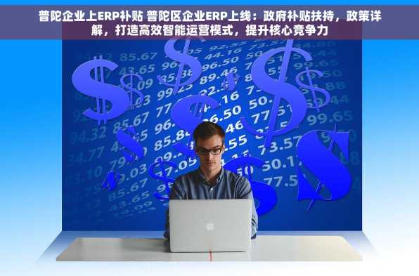 普陀企业上ERP补贴 普陀区企业ERP上线：政府补贴扶持，政策详解，打造高效智能运营模式，提升核心竞争力