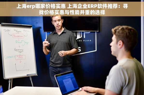 上海erp哪家价格实惠 上海企业ERP软件推荐：寻找价格实惠与性能并重的选择