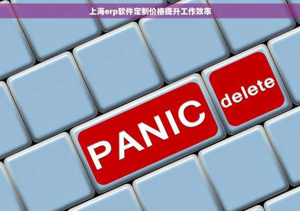 上海erp软件定制价格提升工作效率