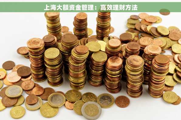 上海大额资金管理：高效理财方法