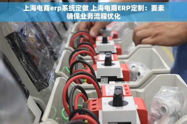 上海电商erp系统定做 上海电商ERP定制：要素确保业务流程优化