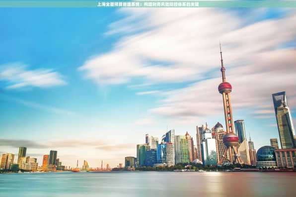 上海全面预算管理系统：构建财务风险防控体系的关键