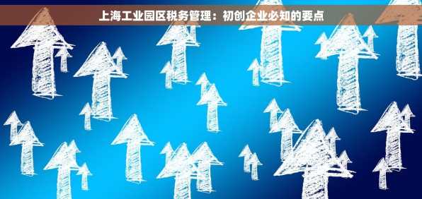 上海工业园区税务管理：初创企业必知的要点