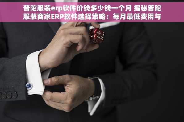 普陀服装erp软件价钱多少钱一个月 揭秘普陀服装商家ERP软件选择策略：每月最低费用与成本节省技巧