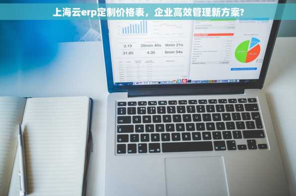 上海云erp定制价格表，企业高效管理新方案?