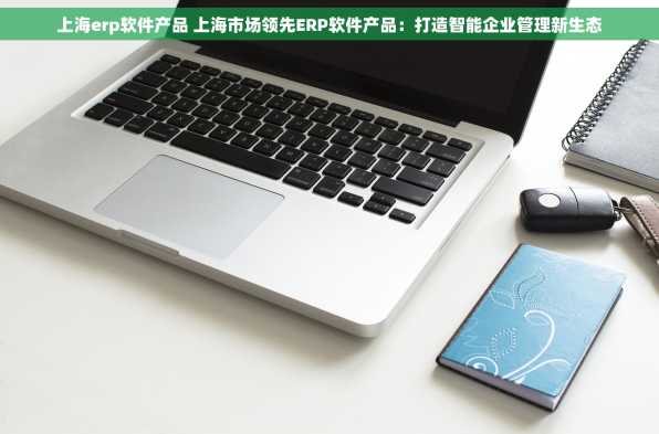 上海erp软件产品 上海市场领先ERP软件产品：打造智能企业管理新生态