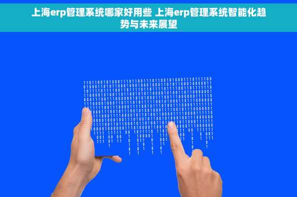 上海erp管理系统哪家好用些 上海erp管理系统智能化趋势与未来展望