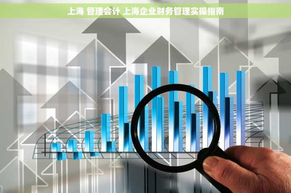 上海 管理会计 上海企业财务管理实操指南